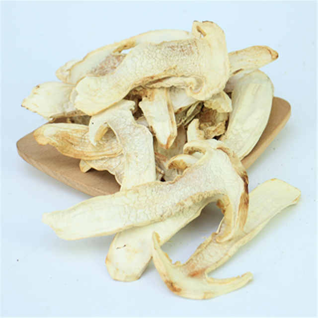西藏松茸